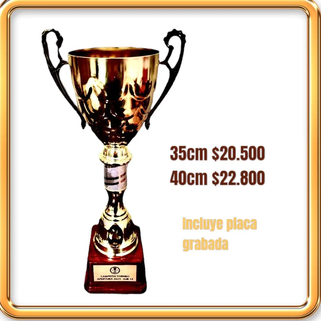 GRABADOS-BIOBIO-PLACAS-PARA-TUMBAS-CHILE-LAPIDAS-PREMIACIONES-CONCEPCION-TROFEOS-MEDALLAS-LAPIDAS-RECUERDOS (11)