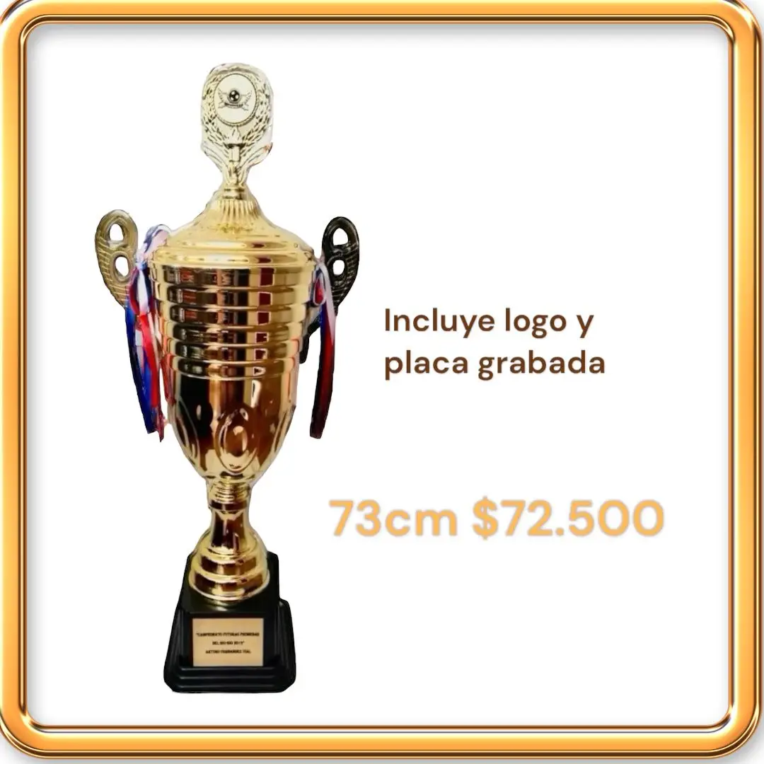 GRABADOS-BIOBIO-PLACAS-PARA-TUMBAS-CHILE-LAPIDAS-PREMIACIONES-CONCEPCION-TROFEOS-MEDALLAS-LAPIDAS-RECUERDOS (12)