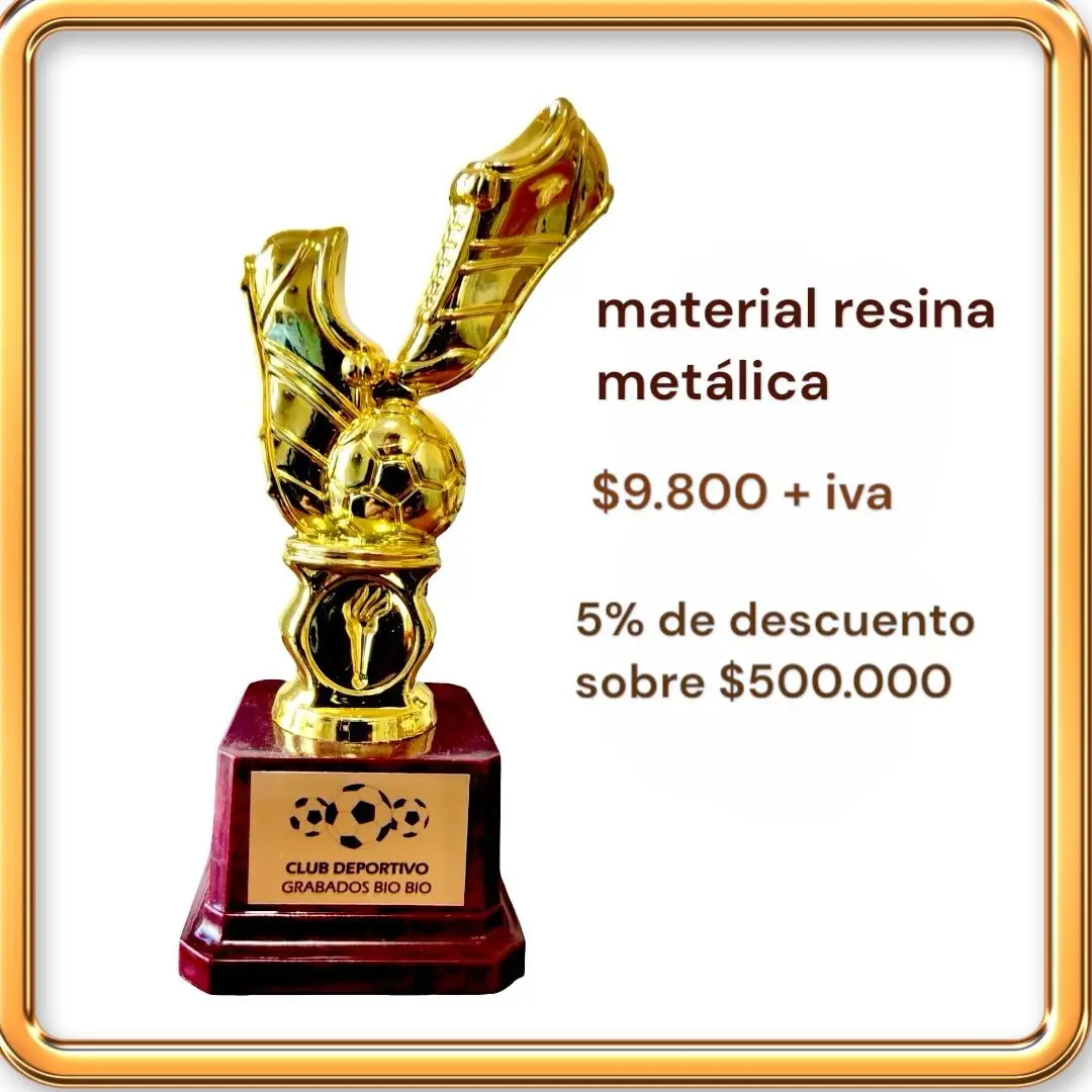 GRABADOS-BIOBIO-PLACAS-PARA-TUMBAS-CHILE-LAPIDAS-PREMIACIONES-CONCEPCION-TROFEOS-MEDALLAS-LAPIDAS-RECUERDOS (5)