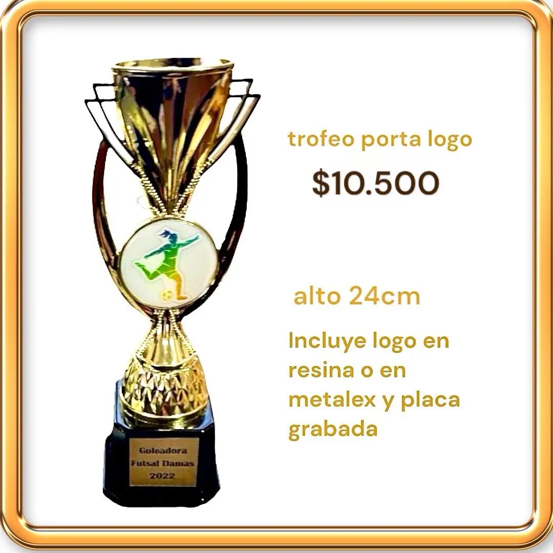 GRABADOS-BIOBIO-PLACAS-PARA-TUMBAS-CHILE-LAPIDAS-PREMIACIONES-CONCEPCION-TROFEOS-MEDALLAS-LAPIDAS-RECUERDOS-9